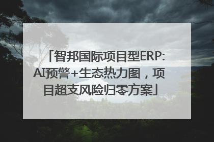 智邦国际项目型ERP:AI预警+生态热力图，项目超支风险归零方案